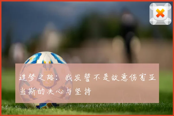 追梦之路：我发誓不是故意伤害亚当斯的决心与坚持