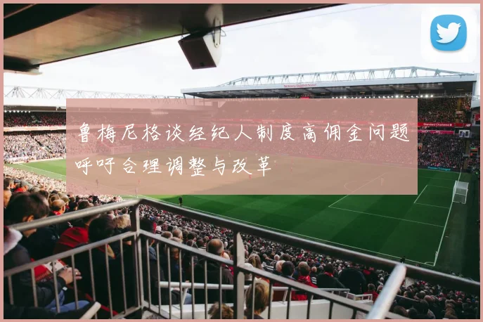 鲁梅尼格谈经纪人制度高佣金问题呼吁合理调整与改革
